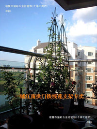 Metal Clematis Tower Trellis for Climbing Plants, Detachable Rose and Vine Support