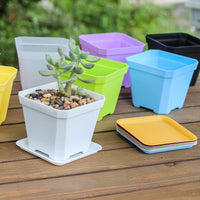 Colorful Square Plastic Plant Pot Saucer for Succulents and Small Plants