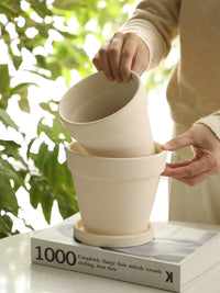 Classic Terracotta Planter Pot with Tray for Indoor Plants