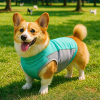 Pet Cooling Vest Breathable Summer Dog Apparel for Heat Relief