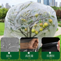 Plant Winter Protection Cover for Trees and Citrus - Transparent Anti-Frost Film
