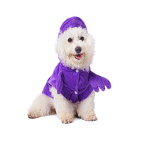 Halloween Dinosaur Pet Costume for Small Dogs and Cats