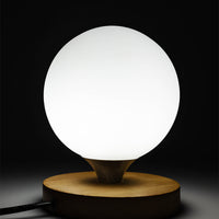 G9 Frosted White Glass Globe Lampshade Replacement for Nordic Pendant and Table Lamps