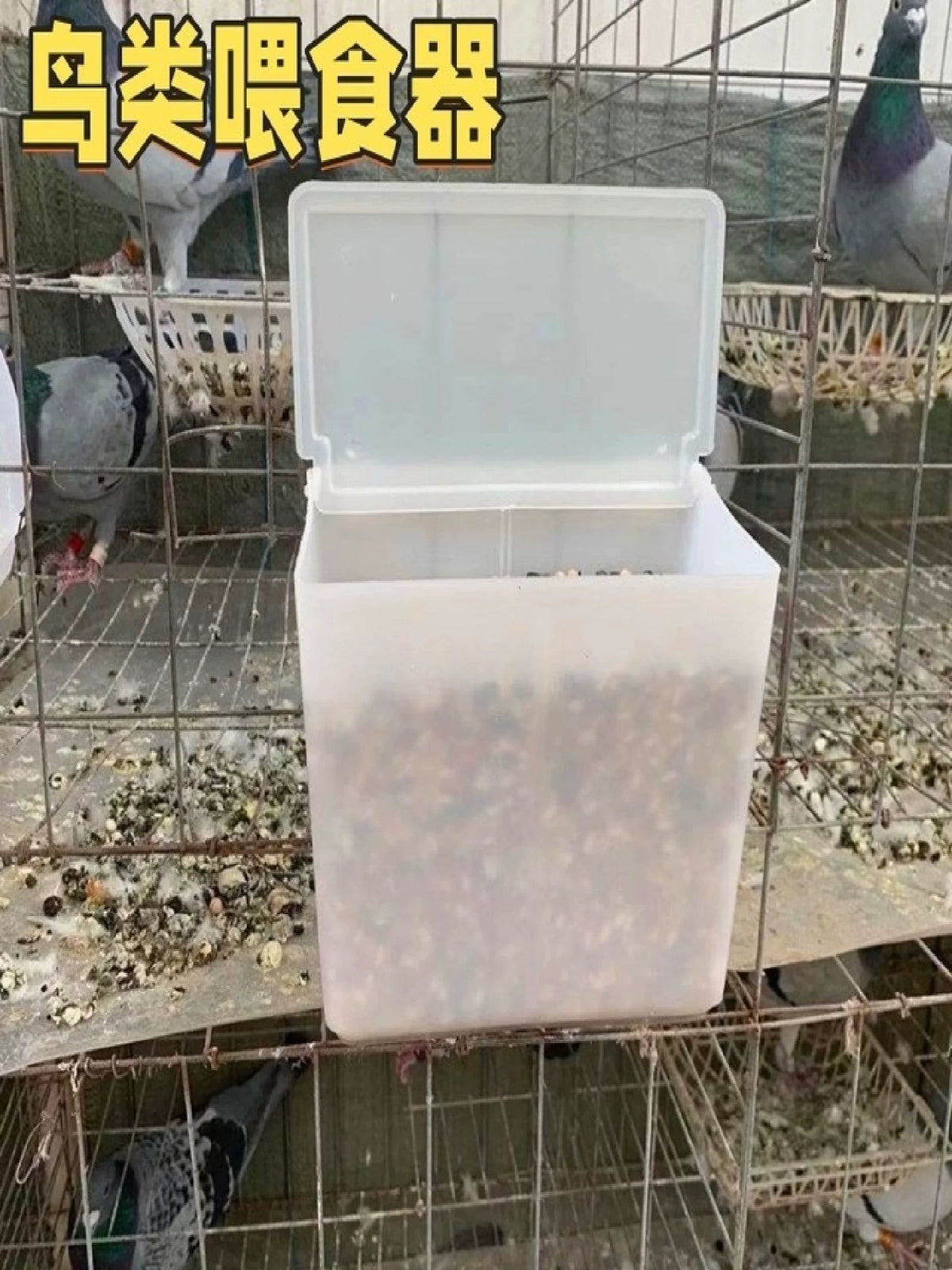 Anti-Scatter Pigeon Feeder Rectangular Poultry Food Box Myna White Pigeon Feeder for Racing Pigeons and Birds