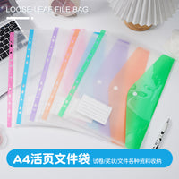 A4 Transparent Document Folder with Snap Button Closure and Card Slot, Multi-Color File Organizer for Students
