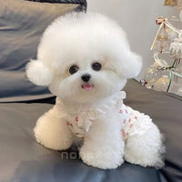 Floral Lace Princess Dress for Small Dogs and Cats