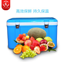Portable 33L/45L Outdoor Car Refrigerator Cooler Box for Food Delivery, Fishing, and Home Use