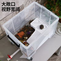 Turtle Habitat Tank with Filter and Lid, Plastic Aquarium for Home Use