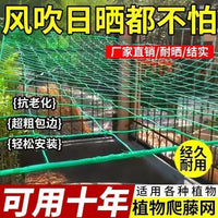 Heavy-Duty Plant Trellis Netting for Climbing Vegetables and Fruits