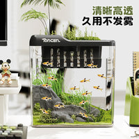 Durable Transparent Plastic Desktop Fish Tank with Optional LED Light for Turtle and Aquatic Ecosystems