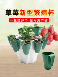 Strawberry Propagation Cups with Ground Stakes for Seedling Transplanting and Rooting