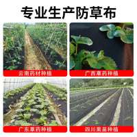 Perforated Weed Barrier Fabric Roll for Agriculture and Gardening, Breathable, Thickened, Anti-Aging Ground Cover