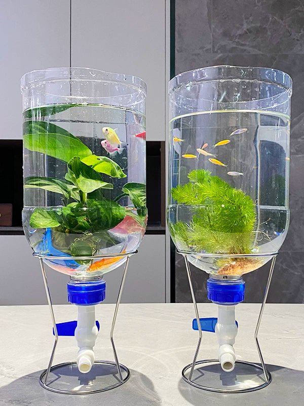5L Transparent Bucket Aquarium Kit with Stand and Drain Tap for Easy Fish Keeping