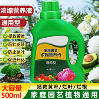 Universal Concentrated Plant Nutrient Solution for Hydroponic Potted Plants and Greenery