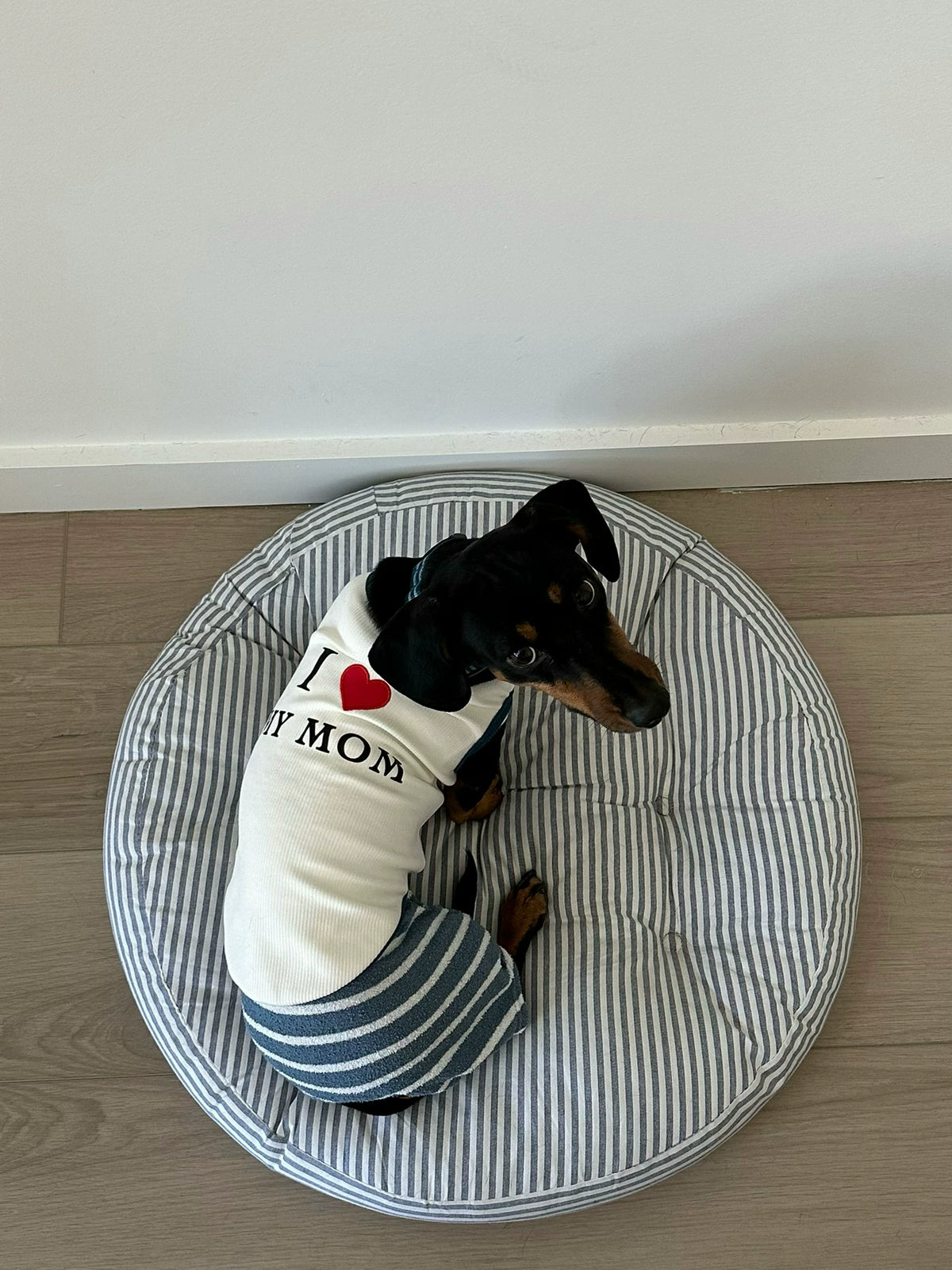 Breathable Modal Ribbed Knit Pet Shirt for Small to Medium Dogs
