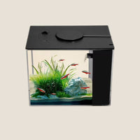 Desktop Aquarium with Integrated Filtration System for Home and Office