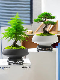 Bergamot Moss Ball Ceramic Planter with Tray, Matte Desktop Hydroponic Pot for Plants