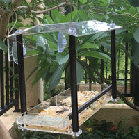 Acrylic Transparent Bird Feeder for Parrots Wall-Mounted Suction Cup Design