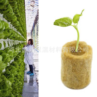 Hydroponic Rockwool Grow Plugs for Seed Starting and Soilless Cultivation