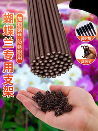 Orchid Plant Support Stakes with Clips and Caps for Climbing Vines and Flowers