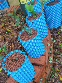 Thickened Blue Root Control Board Tree Surround for Landscaping and Cultivation, Breathable Tree Root Barrier