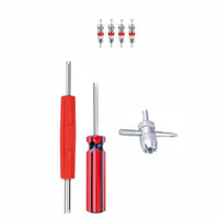 Tire Valve Stem Repair Kit with Valve Cores and Removal Tools