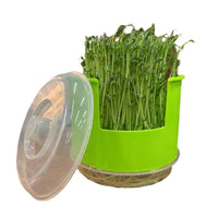 Round Hydroponic Seedling Tray for Home Gardening, Soilless Cultivation Germination Planter
