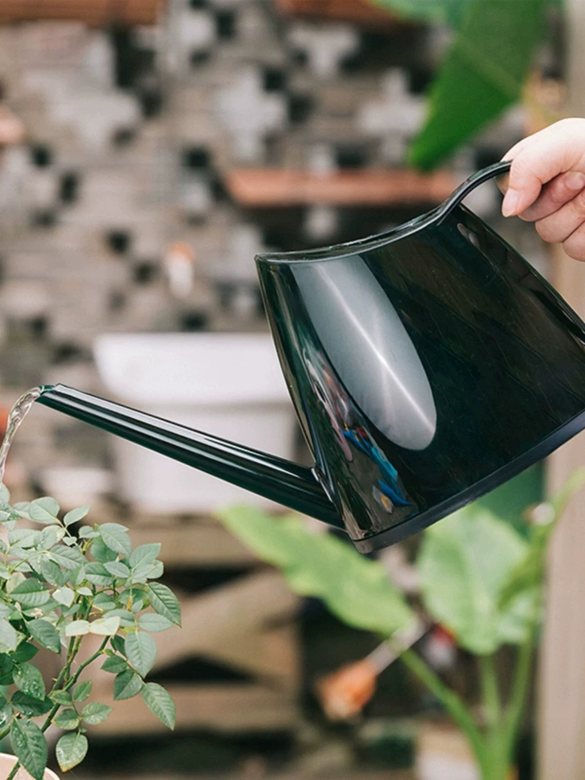 Indoor/Outdoor Long Spout Watering Can for Plants, Flowers, and Succulents