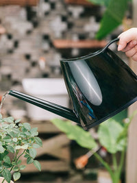 Indoor/Outdoor Long Spout Watering Can for Plants, Flowers, and Succulents