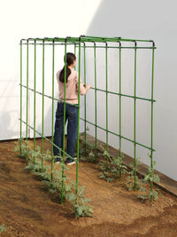 Heavy-Duty Coated Steel Plant Trellis for Climbing Vegetables and Flowers