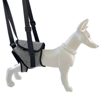 Pet Dog Rear Leg Support Harness for Injury Rehabilitation and Mobility Aid