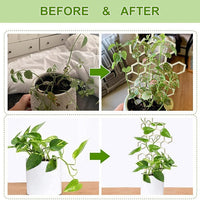 Wooden Honeycomb Plant Trellis for Indoor Garden Potted Plants