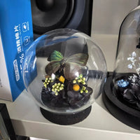 Blue Morpho Butterfly Specimen in Glass Dome Display with Black Base