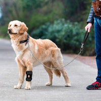 Pet Dog Knee Brace for Joint Support and Injury Recovery