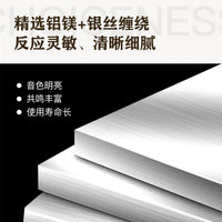 Winner Professional Violin Strings Set - Nylon Core, Aluminum-Magnesium Alloy