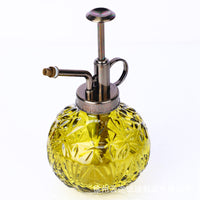 Vintage Glass Plant Mister with Pump Top for Indoor Gardening and Decoration