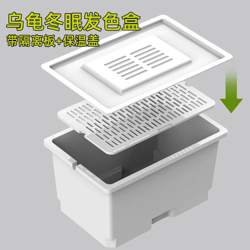 Turtle Incubation and Rearing Box with Sediment Plate and Lid for Hatching and Isolation