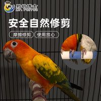 Parrot Sand Perch for Claw and Beak Grinding - Bird Stand Toy for Cockatiels, Conures, and Parakeets