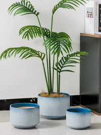 Nordic Style Ceramic Orchid Planter Pot with Drainage Tray for Indoor Plants