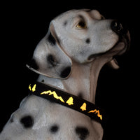 LED Light-Up Pet Collar and Leash Set for Dogs, Rechargeable Glowing Christmas Tree Pattern