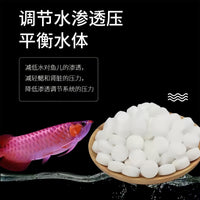 500g Aquarium Mineral Salt for Ornamental Fish, Tropical Fish, Water Purification, Disease Prevention