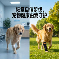 Pet Leg Brace for Injury Recovery, Anti-Lick, Anti-Scratch, Protective Sleeve for Dogs