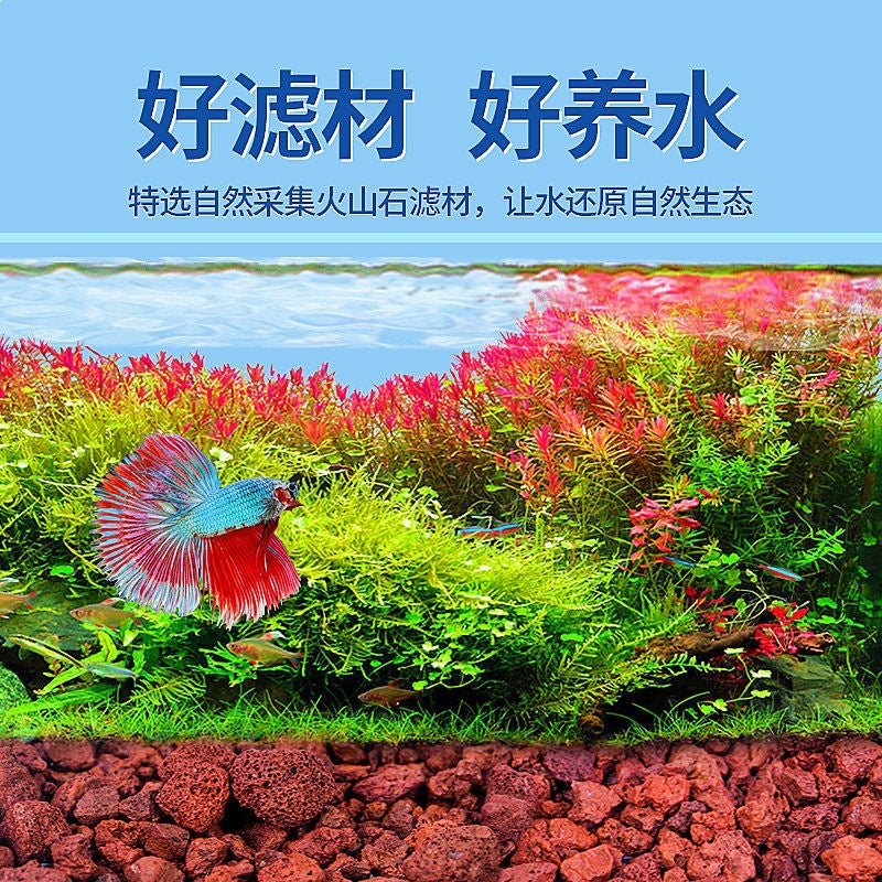 Volcanic Rock Substrate for Aquariums and Planters - Natural Decorative Landscaping and Filter Media