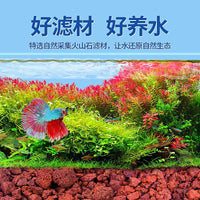 Volcanic Rock Substrate for Aquariums and Planters - Natural Decorative Landscaping and Filter Media