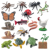 Life Cycle Animal Model Toys for Early Education