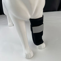 Dog Front Leg Brace for Injury Recovery and Support, Adjustable Pet Knee Protector