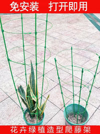 Telescopic Plant Support Trellis for Climbing Plants, Moonflower, Rose, Orchid, Pothos, Balcony Greenery