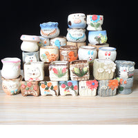 Hand-Painted Ceramic Succulent Planter Pots for Indoor Plants