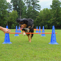 Dog Agility Training Kit Pet Obstacle Course Jump Hurdle Cones Poles Set for Canine Exercise