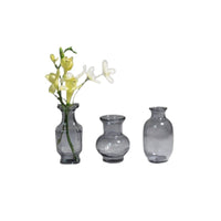 European Style Light Luxury Glass Vase Set for Hydroponic Plants and Fresh Flowers